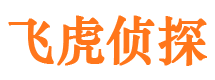 平潭资产调查